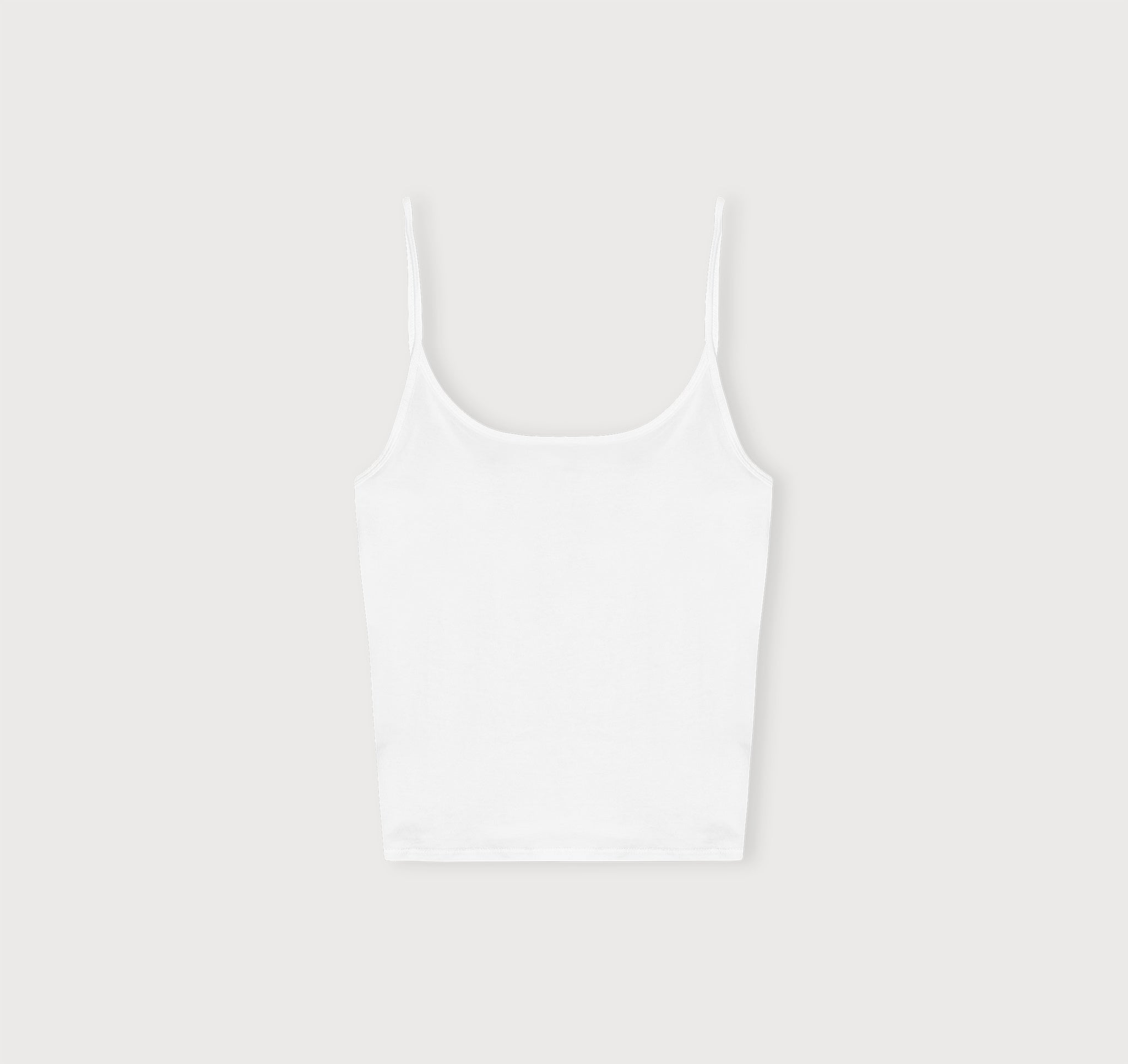Core Singlet