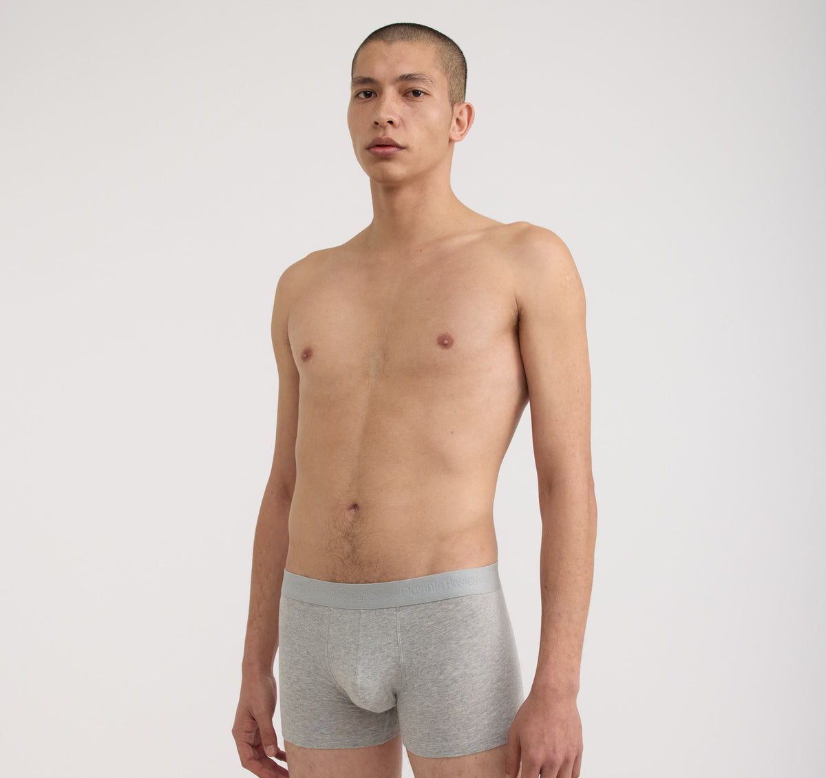 Core Trunks 12-Pack
