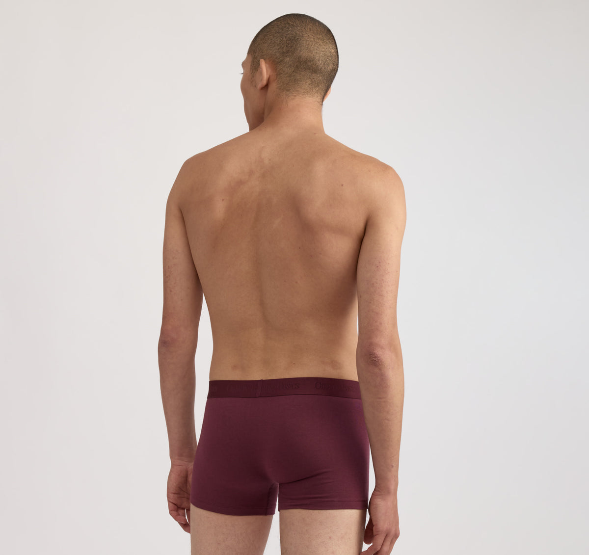 Core Trunks 12-Pack - Stone Grey / Plum / Deep Navy – organic cotton – view 5