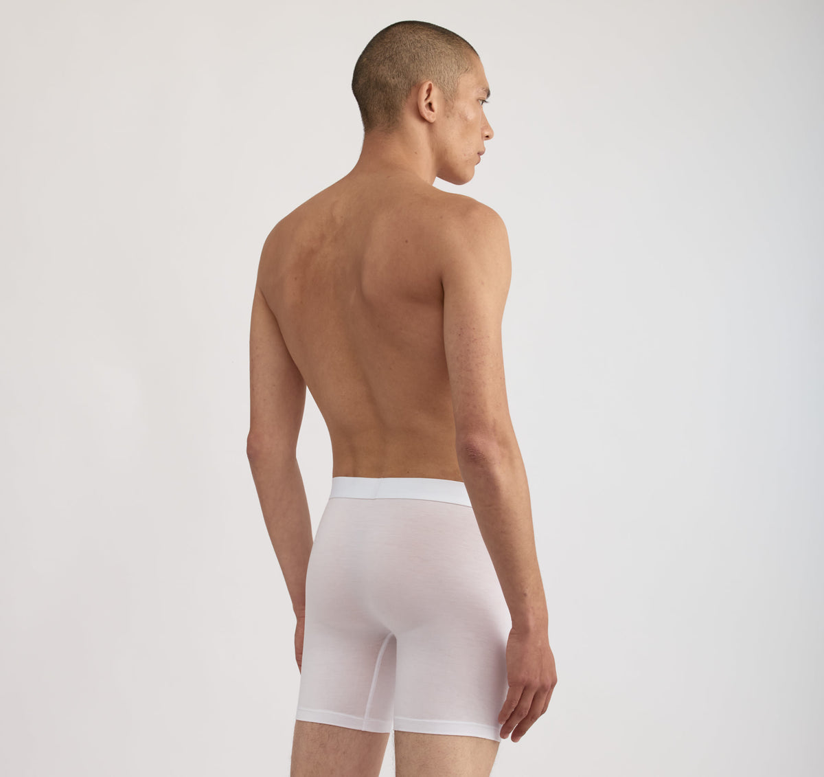 Premium Boxer Briefs 12-pack