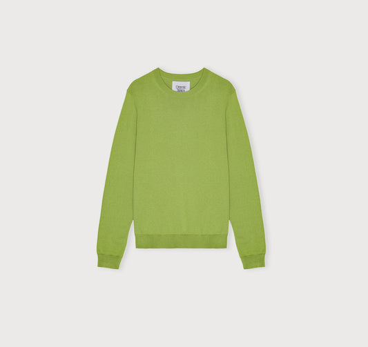 Soft Knit Crewneck Sweater