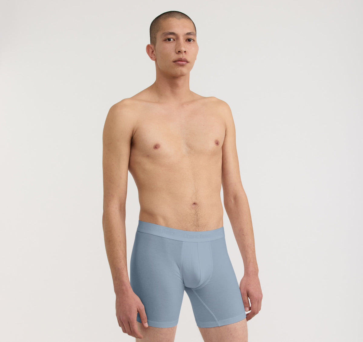 Core Boxer Briefs 9-Pack - Pavement / Thunder / Cloudy Blue – organic cotton – view 4
