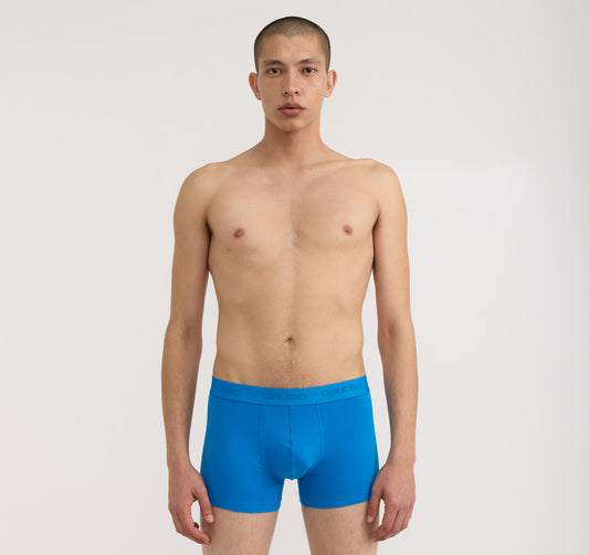 Core Trunks 12-Pack